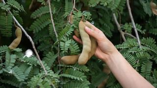 ವಿಶ್ವ ತಂಬಾಕು ರಹಿತ ದಿನ ಆಚರಣೆ ಮಾಡುವುದು ಇದೆ ಉದ್ದೇಶಕ್ಕಾಗಿ