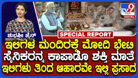 ಇಲಿಗಳು ತಿಂದ ಆಹಾರವೇ ಈ ದೇವಸ್ಥಾನದ ಪ್ರಸಾದ: ಏನಿದರ ವಿಶೇಷತೆ?