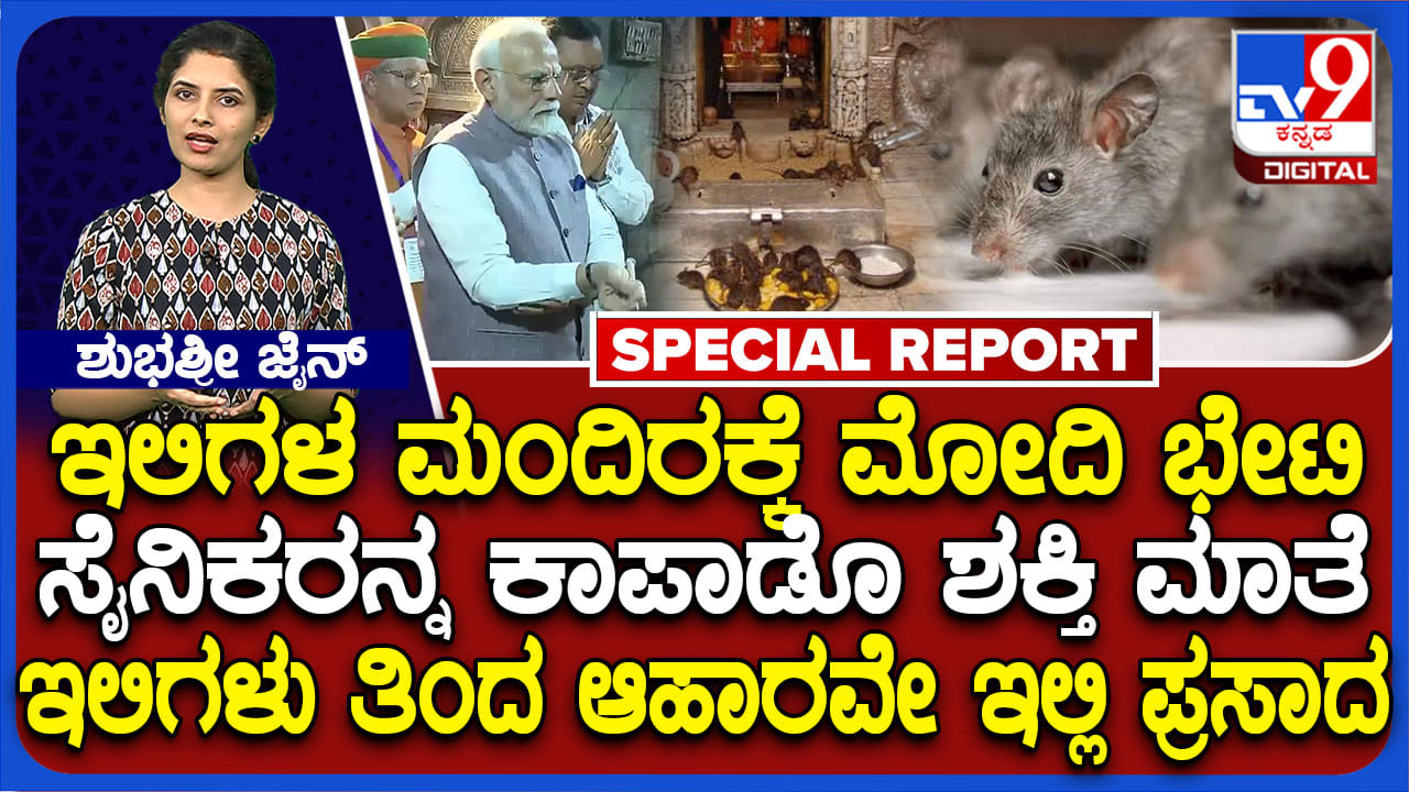 ಇಲಿಗಳು ತಿಂದ ಆಹಾರವೇ ಈ ದೇವಸ್ಥಾನದ ಪ್ರಸಾದ: ಹಾಗಾದ್ರೆ, ಯಾವುದು ಈ ದೇಗುಲ? ಏನಿದರ ವಿಶೇಷತೆ? ಇಲಿಗಳು ತಿಂದ ಆಹಾರವೇ ಈ ದೇವಸ್ಥಾನದ ಪ್ರಸಾದ: ಹಾಗಾದ್ರೆ, ಯಾವುದು ಈ ದೇಗುಲ? ಏನಿದರ ವಿಶೇಷತೆ?