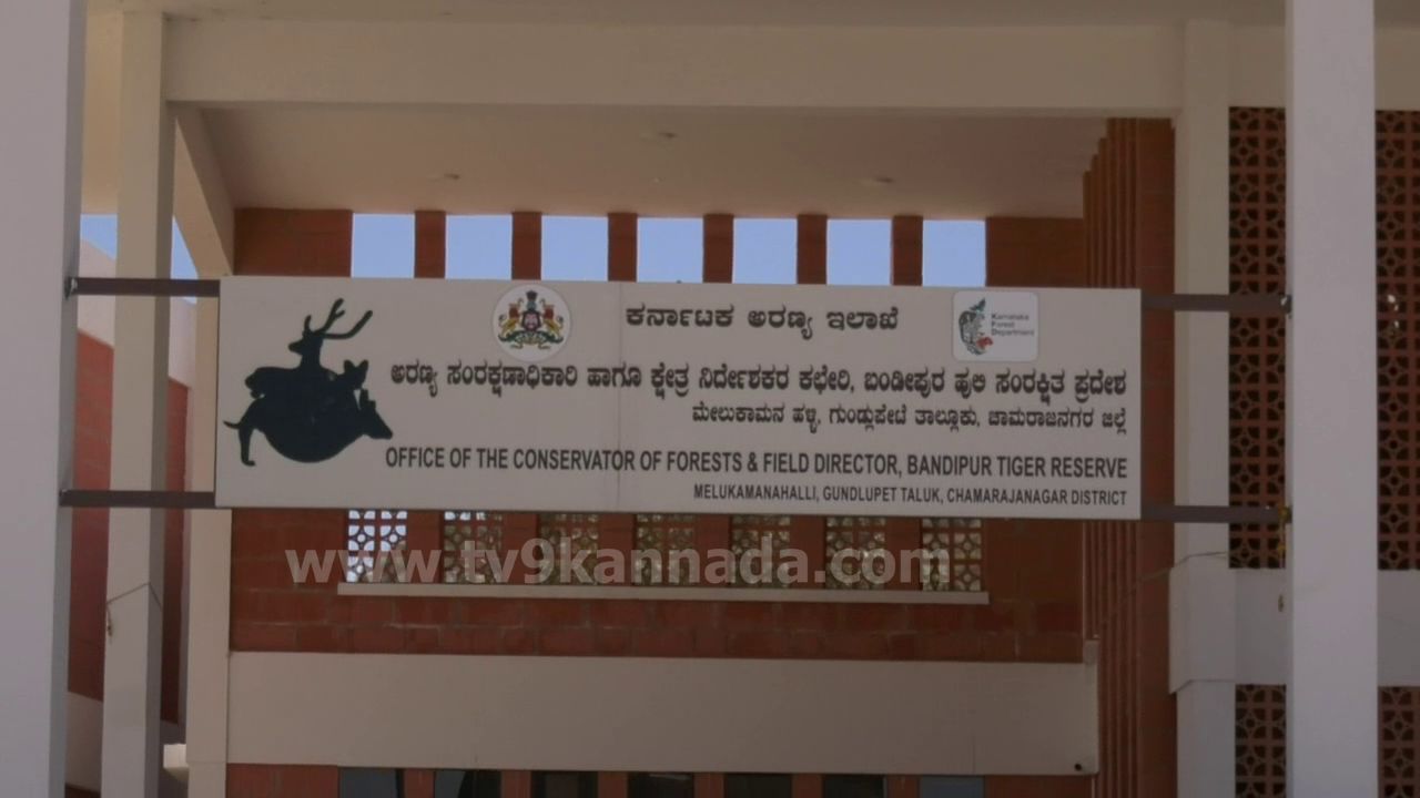 ಬಂಡೀಪುರದಲ್ಲಿ ಉದ್ಘಾಟನೆಗೆ ಸಿದ್ಧವಾಯ್ತು ಟೈಗರ್ ರಿಸರ್ಚ್ ಮಾನಿಟರಿಂಗ್ ಸೆಲ್: ಪ್ರತಿ ವರ್ಷ ಸುಲಭವಾಗಿ ನಡೆಯಲಿದೆ ಹುಲಿ ಗಣತಿ