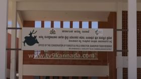 ಬಂಡೀಪುರದಲ್ಲಿ ಉದ್ಘಾಟನೆಗೆ ಸಿದ್ಧವಾಯ್ತು ಟೈಗರ್ ರಿಸರ್ಚ್ ಮಾನಿಟರಿಂಗ್ ಸೆಲ್ ಬಂಡೀಪುರದಲ್ಲಿ ಉದ್ಘಾಟನೆಗೆ ಸಿದ್ಧವಾಯ್ತು ಟೈಗರ್ ರಿಸರ್ಚ್ ಮಾನಿಟರಿಂಗ್ ಸೆಲ್