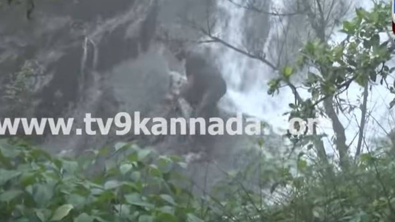 ಚಾರ್ಮಾಡಿ ಘಾಟ್ ರಸ್ತೆಯಲ್ಲಿ ಹುಚ್ಚು ಸಾಹಸಗಳನ್ನು ಮುಂದುವರಿಸಿರುವ ಅಲ್ಪಮತಿ ಪ್ರವಾಸಿಗರು!