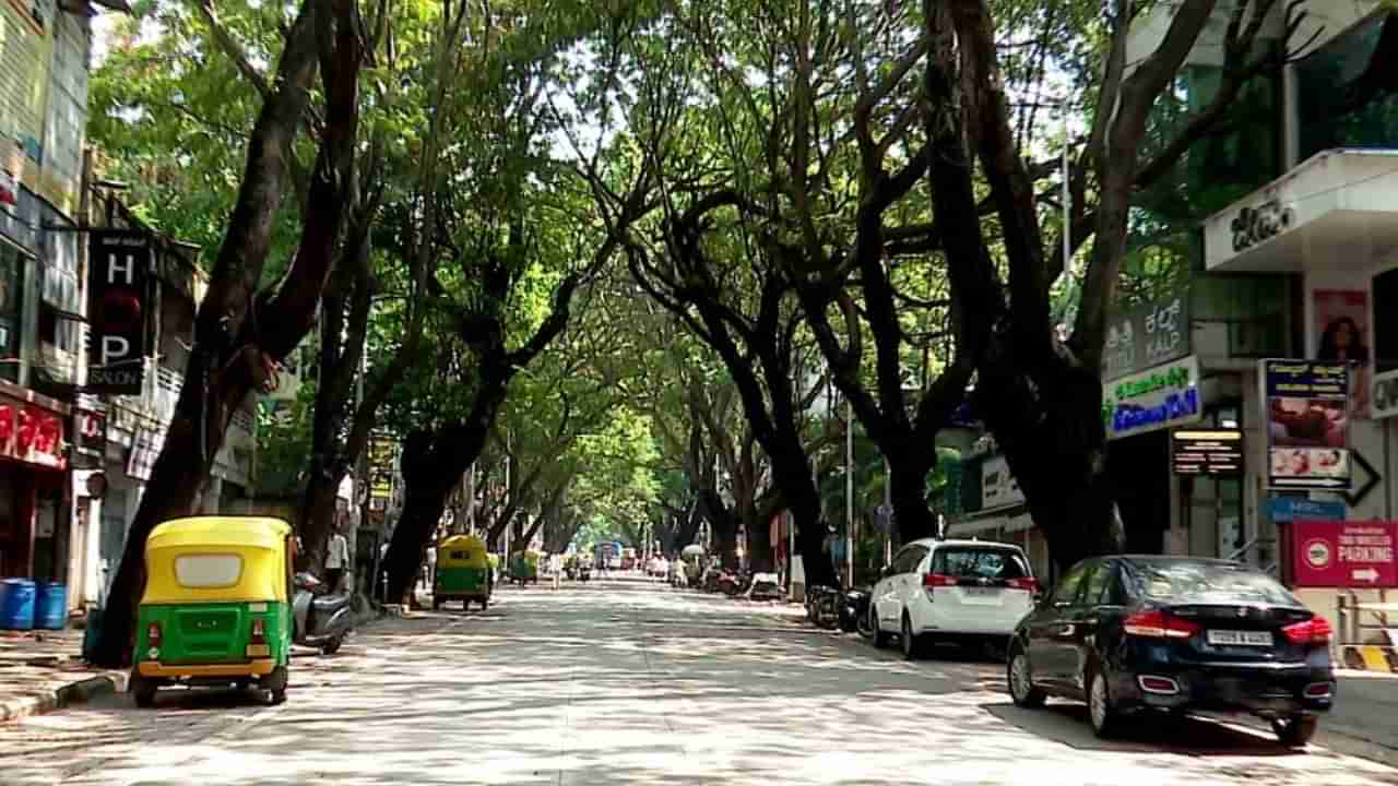 ಬೆಂಗಳೂರಿನಲ್ಲಿ ಡೆಡ್ಲಿ ಮರಗಳಿಗೆ ಸಿಗದ ಮುಕ್ತಿ: ಮರ ಬಿದ್ದು ಅವಾಂತರ ಸೃಷ್ಟಿಯಾದ್ರೂ ಪಾಲಿಕೆ ಡೋಂಟ್ ಕೇರ್