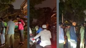 ಬೆಂಗಳೂರಿನ ಜಯನಗರದಲ್ಲಿ ಧರೆಗೆ ಉರುಳಿದ ಮರ ಬೆಂಗಳೂರಿನ ಜಯನಗರದಲ್ಲಿ ಧರೆಗೆ ಉರುಳಿದ ಮರ