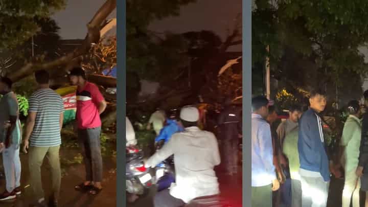 ಬೆಂಗಳೂರಿನ ಜಯನಗರದಲ್ಲಿ ಧರೆಗೆ ಉರುಳಿದ ಮರ ಬೆಂಗಳೂರಿನ ಜಯನಗರದಲ್ಲಿ ಧರೆಗೆ ಉರುಳಿದ ಮರ