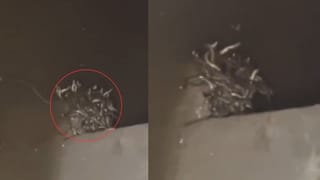 Viral: ಟೈಮ್‌ ಟ್ರಾವೆಲಿಂಗ್‌ ಮಾಡಿ ರಾಮ, ಕೃಷ್ಣನ ಆಶಿರ್ವಾದ ಪಡೆದು ಬಂದ ಮೋದಿಜಿ-ಯೋಗಿಜಿ