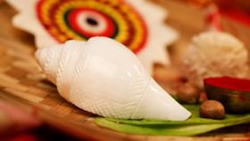 ಮನೆಯಲ್ಲಿ ತುಳಸಿ ಮತ್ತು ಶಂಖವನ್ನು ಈ ದಿಕ್ಕಿನಲ್ಲಿ ಇರಿಸಿ