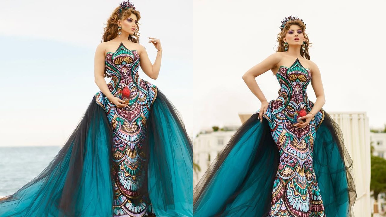 ಊರ್ವಶಿ ರೌಟೆಲಾಗೆ ಕಾನ್ ಫೆಸ್ಟಿವಲ್​ನಲ್ಲಿ ಅವಮಾನ, ರೆಡ್ ಕಾರ್ಪೇಟ್​ ಮೇಲೆ ನಡೆದಿದ್ದೇನು?