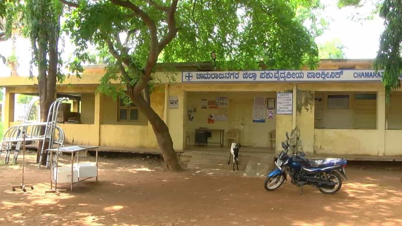 ಪಶು ಸಂಗೋಪನಾ ಸಚಿವರ ಜಿಲ್ಲೆಯಲ್ಲೇ ಪಶು ವೈದ್ಯರ ಕೊರತೆ: 900ಕ್ಕೂ ಹೆಚ್ಚು ರಾಸುಗಳು ಸಾವು ಪಶು ಸಂಗೋಪನಾ ಸಚಿವರ ಜಿಲ್ಲೆಯಲ್ಲೇ ಪಶು ವೈದ್ಯರ ಕೊರತೆ: 900ಕ್ಕೂ ಹೆಚ್ಚು ರಾಸುಗಳು ಸಾವು