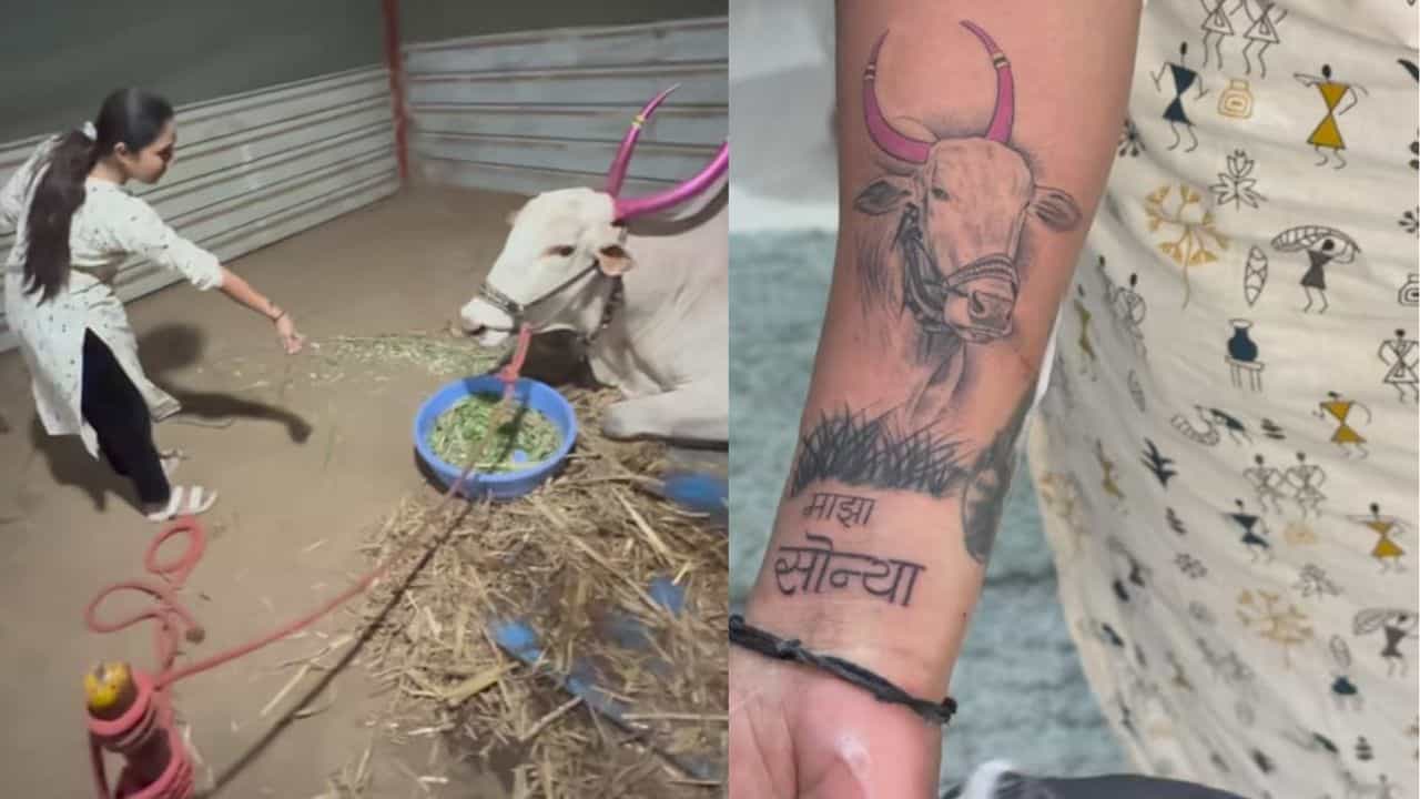 Viral : ಇಲ್ಲಿ ನೋಡು ಸೋನ್ಯಾ.... ಪ್ರೀತಿಯ ಹೋರಿಯ ಟ್ಯಾಟೂ ಹಾಕಿಸಿಕೊಂಡ ಯುವತಿ Viral : ಇಲ್ಲಿ ನೋಡು ಸೋನ್ಯಾ.... ಪ್ರೀತಿಯ ಹೋರಿಯ ಟ್ಯಾಟೂ ಹಾಕಿಸಿಕೊಂಡ ಯುವತಿ