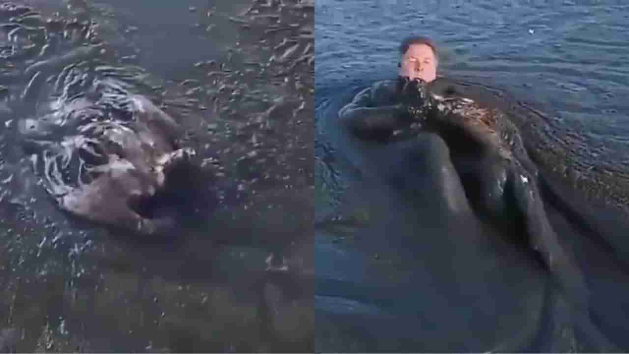 ಇದಪ್ಪಾ ಮಾನವೀಯತೆ ಅಂದ್ರೆ : ಪ್ರಾಣ ಲೆಕ್ಕಿಸದೆ ಕೆಸರಿನಲ್ಲಿ ಒದ್ದಾಡುತ್ತಿದ್ದ ಹದ್ದನ್ನು ರಕ್ಷಿಸಿದ ವ್ಯಕ್ತಿ