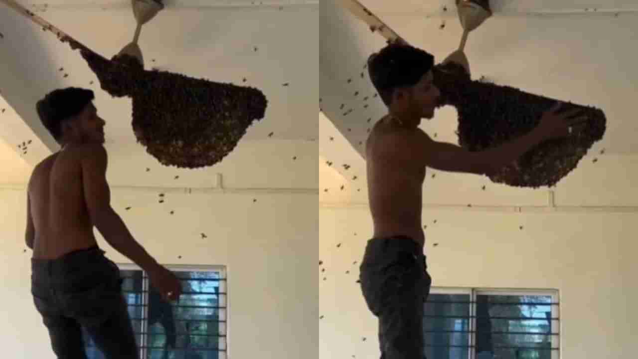 ಫ್ಯಾನ್ ಮೇಲೆ ಗೂಡು ಕಟ್ಟಿಕೊಂಡಿದ್ದ ಜೇನು ನೊಣಗಳಿಗೆ ತೊಂದರೆ ಕೊಟ್ಟ ಯುವಕ