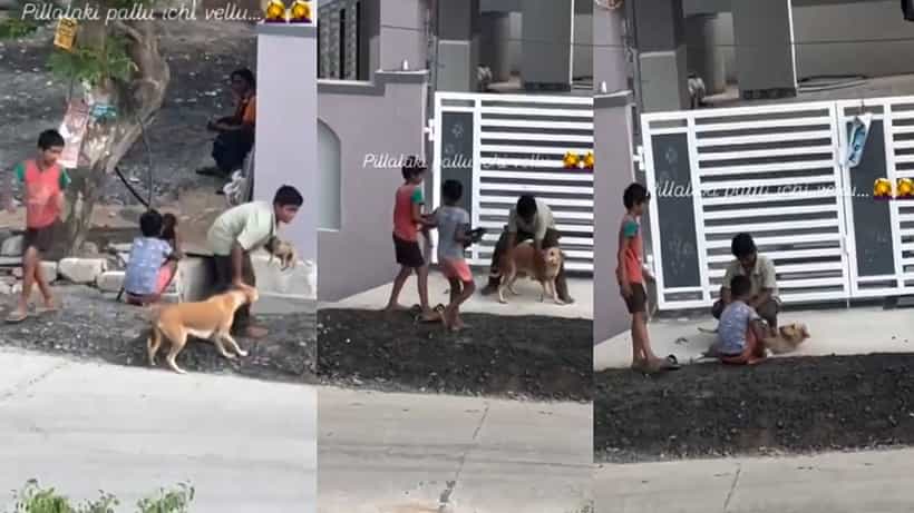 Viral: ತಾಯಿ ಶ್ವಾನದ ಕೈಕಾಲು ಹಿಡಿದು ಮರಿಗಳಿಗೆ ಎದೆ ಹಾಲು ಕುಡಿಸಿದ ಹುಡುಗ್ರು; ಹೃದಯಸ್ಪರ್ಶಿ ದೃಶ್ಯ ವೈರಲ್