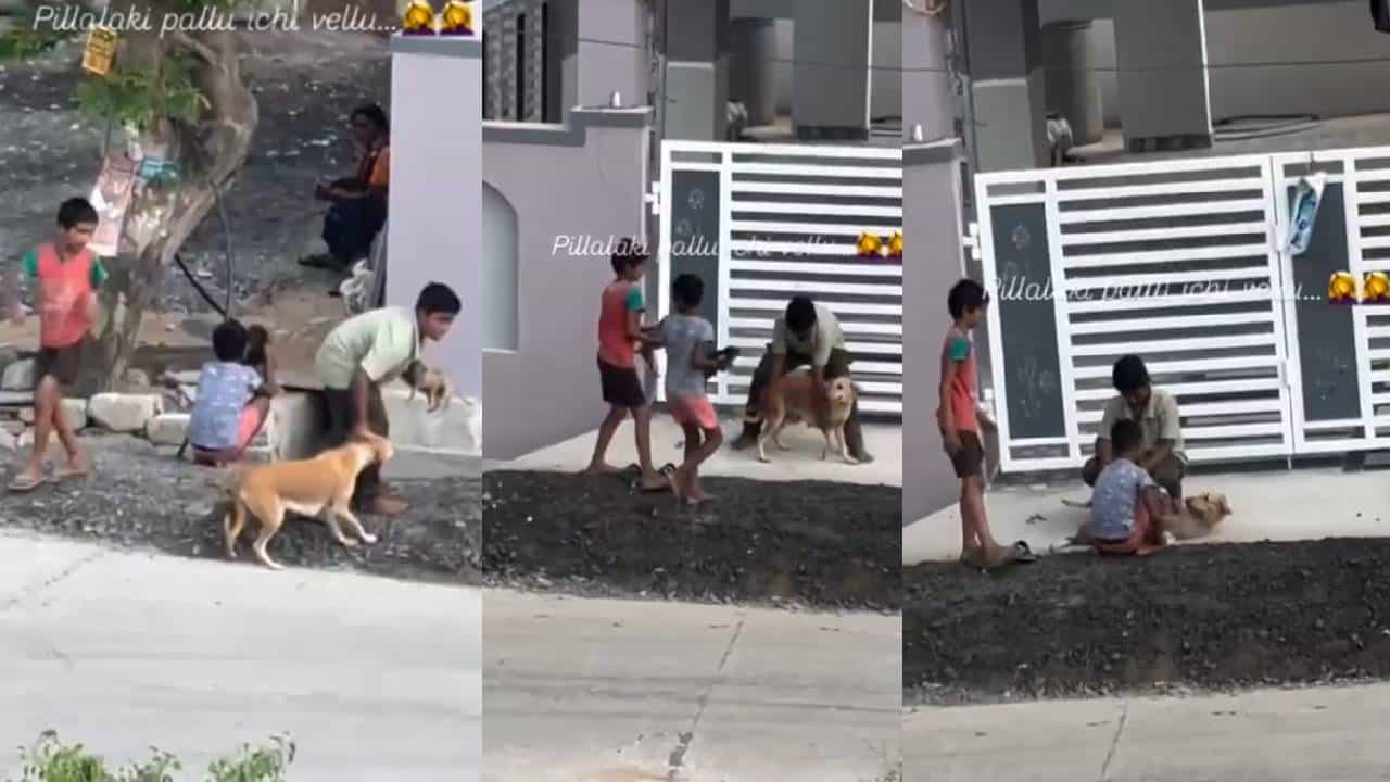 Viral: ತಾಯಿ ಶ್ವಾನದ ಕೈಕಾಲು ಹಿಡಿದು ಮರಿಗಳಿಗೆ ಎದೆ ಹಾಲು ಕುಡಿಸಿದ ಹುಡುಗ್ರು; ಹೃದಯಸ್ಪರ್ಶಿ ದೃಶ್ಯ ವೈರಲ್‌