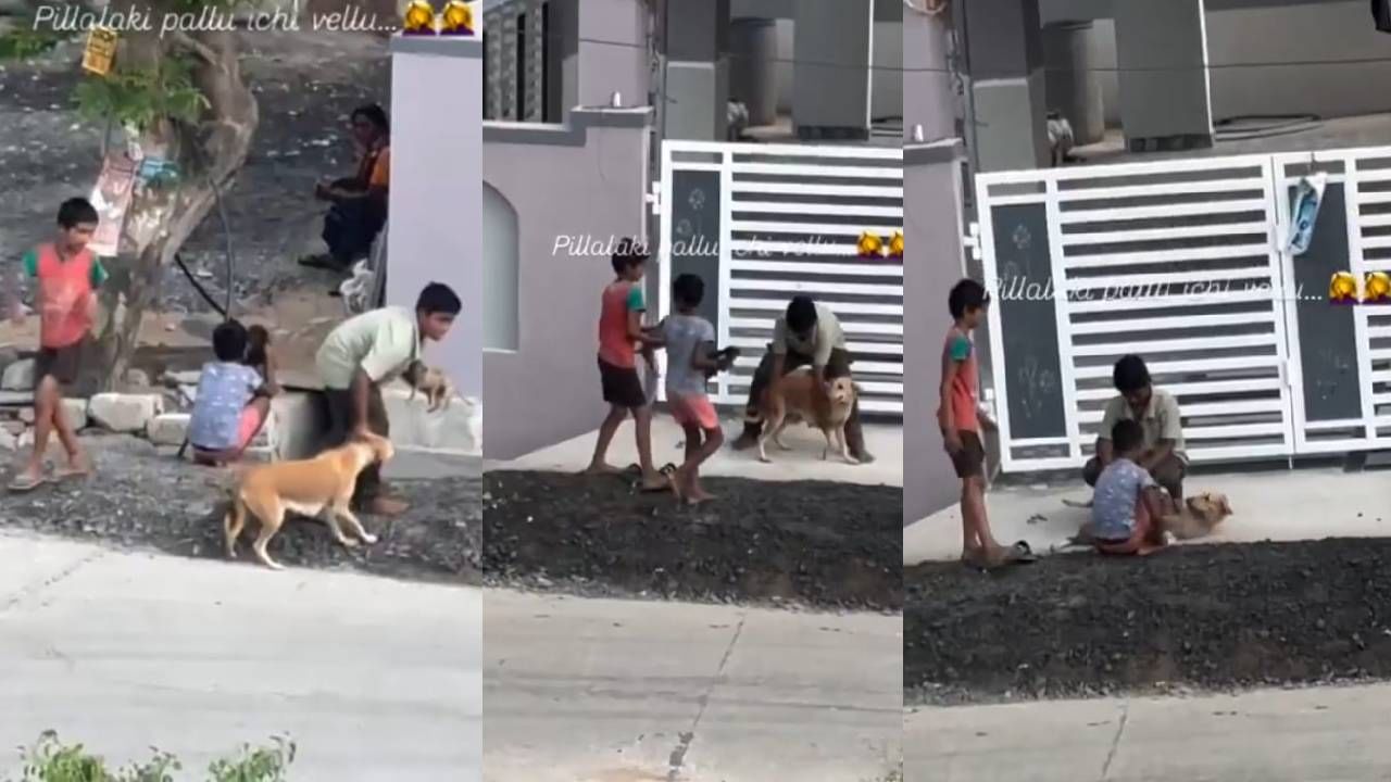 Viral: ತಾಯಿ ಶ್ವಾನದ ಕೈಕಾಲು ಹಿಡಿದು ಮರಿಗಳಿಗೆ ಎದೆ ಹಾಲು ಕುಡಿಸಿದ ಹುಡುಗ್ರು; ಹೃದಯಸ್ಪರ್ಶಿ ದೃಶ್ಯ ವೈರಲ್‌