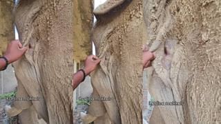 ನಿನ್ನ ನಾಟಕ ಸಾಕು,  ಖರ್ಚು ಮಾಡಿದ ದುಡ್ಡನ್ನು ವಾಪಸ್ಸು ಕೊಡು ಅಷ್ಟೇ, ಕೈ ಕೊಟ್ಟ ಹುಡುಗಿಗೆ  ಶಾಕ್ ಕೊಟ್ಟ ಮಾಜಿ ಪ್ರಿಯಕರ