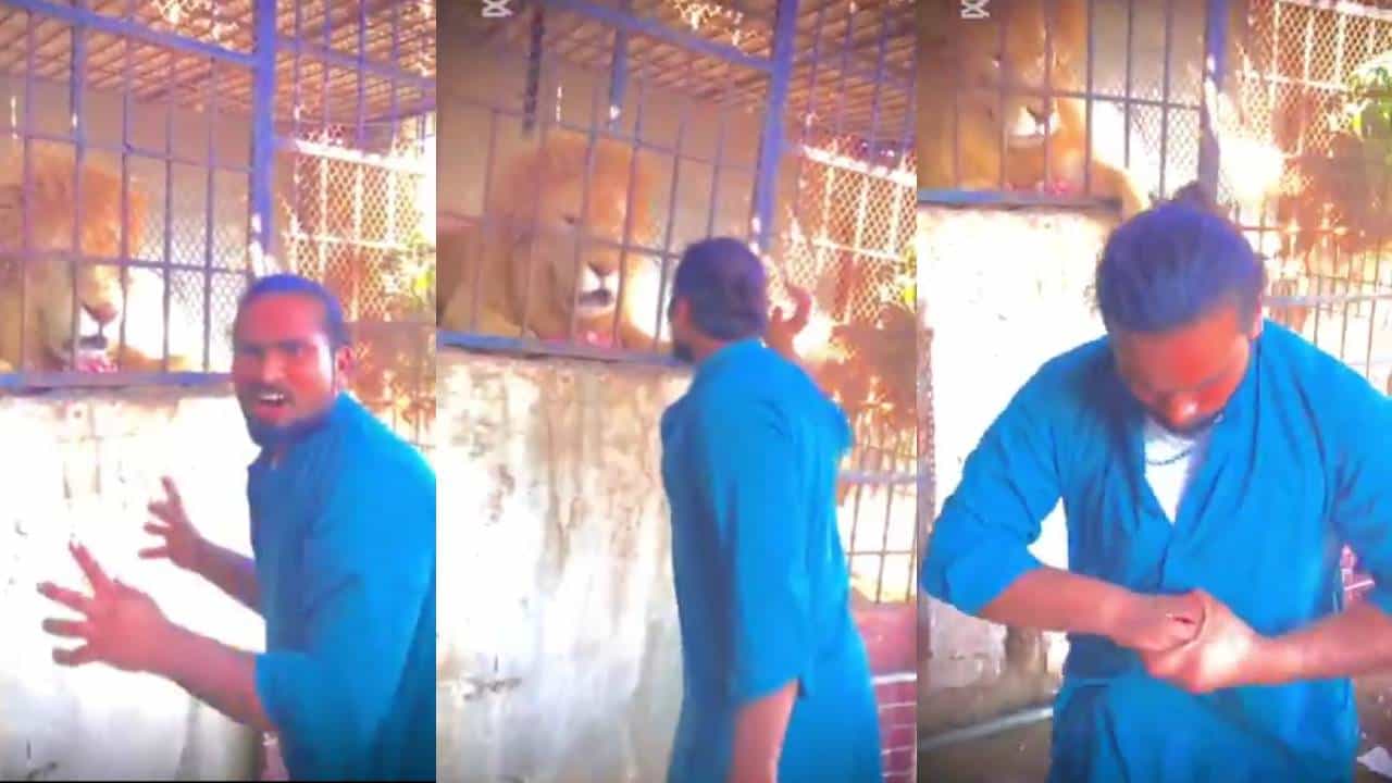 Viral: ಇದೆಲ್ಲ ಬೇಕಿತ್ತಾ; ಬೋನಿನಲ್ಲಿದ್ದ ಸಿಂಹದ ಜೊತೆ ಹುಚ್ಚಾಟ ಆಡಲು ಹೋಗಿ ಫಜೀತಿಗೆ ಸಿಲುಕಿದ ವ್ಯಕ್ತಿ Viral: ಇದೆಲ್ಲ ಬೇಕಿತ್ತಾ; ಬೋನಿನಲ್ಲಿದ್ದ ಸಿಂಹದ ಜೊತೆ ಹುಚ್ಚಾಟ ಆಡಲು ಹೋಗಿ ಫಜೀತಿಗೆ ಸಿಲುಕಿದ ವ್ಯಕ್ತಿ