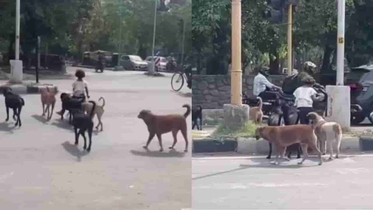 ಮಹಾರಾಣಿ, ಶ್ವಾನದ ಮೇಲೇರಿ ಬೀದಿಗಳಲ್ಲಿ ಸವಾರಿ