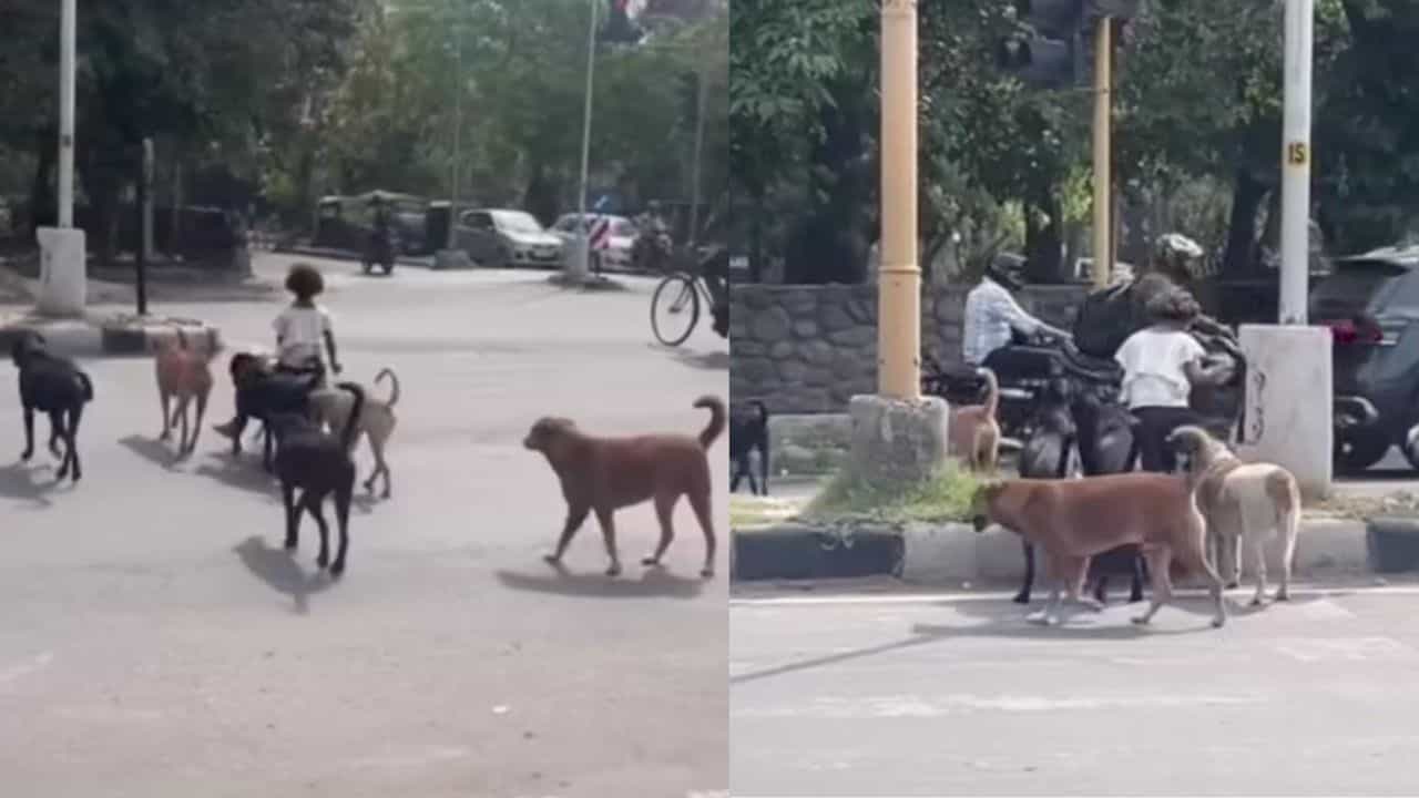 ಮಹಾರಾಣಿ, ಶ್ವಾನದ ಮೇಲೇರಿ ಬೀದಿಗಳಲ್ಲಿ ಸವಾರಿ