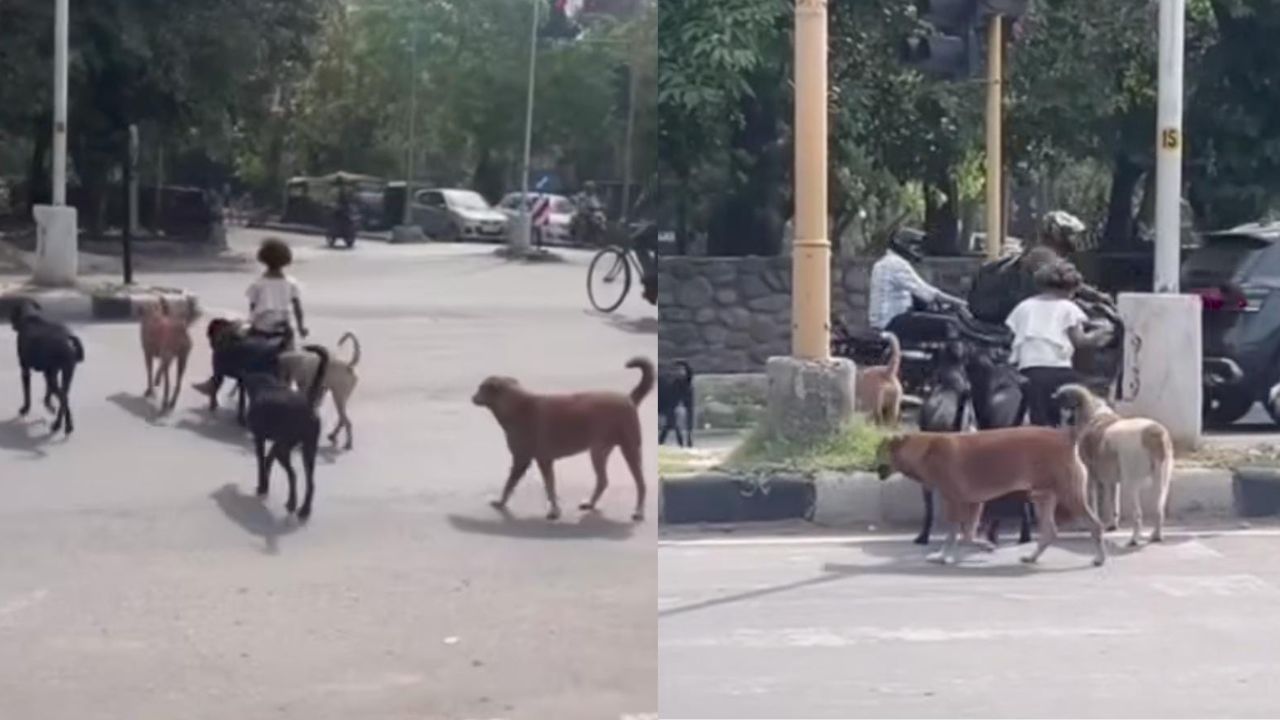 ಮಹಾರಾಣಿ, ಶ್ವಾನದ ಮೇಲೇರಿ ಬೀದಿಗಳಲ್ಲಿ ಸವಾರಿ ಮಹಾರಾಣಿ, ಶ್ವಾನದ ಮೇಲೇರಿ ಬೀದಿಗಳಲ್ಲಿ ಸವಾರಿ