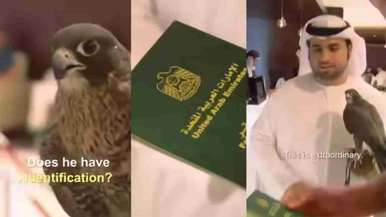 Viral: ಸಾಕು ಗಿಡುಗನಿಗೂ ಪಾಸ್ಪೋರ್ಟ್ ಮಾಡಿಸಿದ ವ್ಯಕ್ತಿ; ವಿಡಿಯೋ ವೈರಲ್