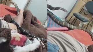 73 ವರ್ಷಗಳ ಬಳಿಕ ಸೌದಿಯಲ್ಲಿ ಮದ್ಯ ಮಾರಾಟಕ್ಕೆ ಅವಕಾಶ : ಹೊಸ ಬದಲಾವಣೆಗೆ ಸಜ್ಜಾದ ಮುಸ್ಲಿಂ ರಾಷ್ಟ್ರ