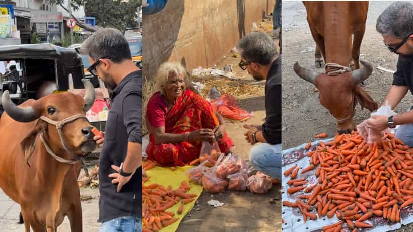 ಇಬ್ಬರಿಗೂ ಹಸಿವು, ದೇವರಂತೆ ಬಂದು ಅಜ್ಜಿ, ಗೋವಿನ ಹಸಿವು ನೀಗಿಸಿದ ವ್ಯಕ್ತಿ
