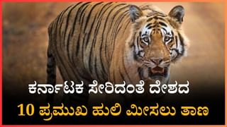 International Day of Light 2025: ಅಂತಾರಾಷ್ಟ್ರೀಯ ಬೆಳಕಿನ ದಿನ; ನಮ್ಮ ಜೀವನದಲ್ಲಿ ಬೆಳಕಿನ ಪ್ರಾಮುಖ್ಯತೆ ಏನು?