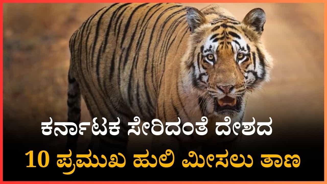 ಕರ್ನಾಟಕ ಸೇರಿದಂತೆ ಈ 10 ಹುಲಿ ಮೀಸಲು ತಾಣಗಳಿವು, ಸಫಾರಿ, ಐಷಾರಾಮಿ ರೆಸಾರ್ಟ್‌ಗಳ ಮಾಹಿತಿ ಇಲ್ಲಿದೆ.