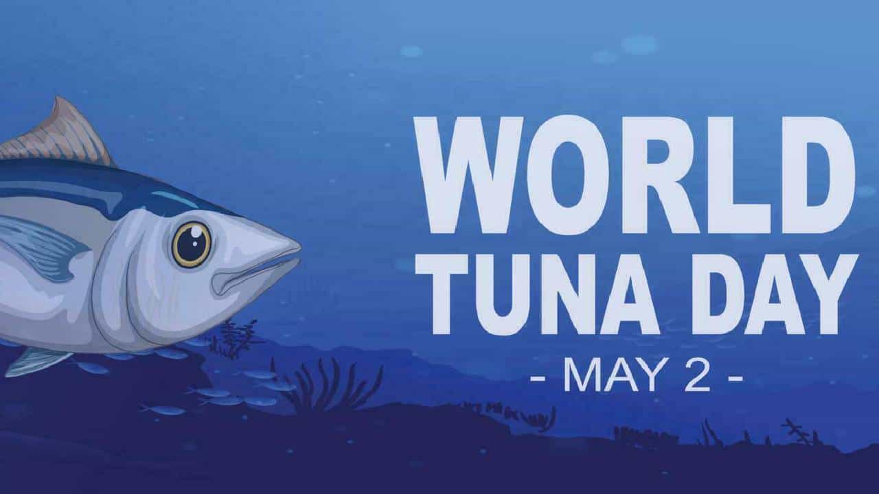 World Tuna Day 2025: ಟ್ಯೂನ ಮೀನು ದಿನವನ್ನು ಆಚರಿಸಲು ಕಾರಣವೇನು? ಈ ಆಚರಣೆಯ ಇತಿಹಾಸ, ಮಹತ್ವ ತಿಳಿಯಿರಿ World Tuna Day 2025: ಟ್ಯೂನ ಮೀನು ದಿನವನ್ನು ಆಚರಿಸಲು ಕಾರಣವೇನು? ಈ ಆಚರಣೆಯ ಇತಿಹಾಸ, ಮಹತ್ವ ತಿಳಿಯಿರಿ