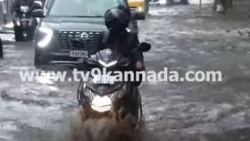 ಪುರುಷರು ವಾಹನ ಓಡಿಸಲು ಪರದಾಡಿದ ರಸ್ತೇಲಿ ಸಲೀಸಾಗಿ ಸ್ಕೂಟರ್ ಓಡಿಸಿದ ಯುವತಿ ಪುರುಷರು ವಾಹನ ಓಡಿಸಲು ಪರದಾಡಿದ ರಸ್ತೇಲಿ ಸಲೀಸಾಗಿ ಸ್ಕೂಟರ್ ಓಡಿಸಿದ ಯುವತಿ