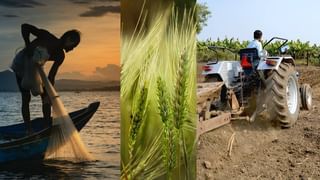 ಜುಲೈ 9ರೊಳಗೆ ಅಂತಿಮಗೊಳ್ಳಲಿದೆಯಾ ಭಾರತ-ಅಮೆರಿಕ ವ್ಯಾಪಾರ ಒಪ್ಪಂದ? ಟ್ಯಾರಿಫ್ ಕಂಟಕ ತಪ್ಪುತ್ತದಾ?