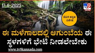 ಹಣ, ಯಶಸ್ಸು ಮತ್ತು ಸಂತೋಷಕ್ಕಾಗಿ ಪ್ರತಿ ರಾತ್ರಿ ಮಲಗುವಾಗ ಹೀಗೆ ಮಾಡಿ