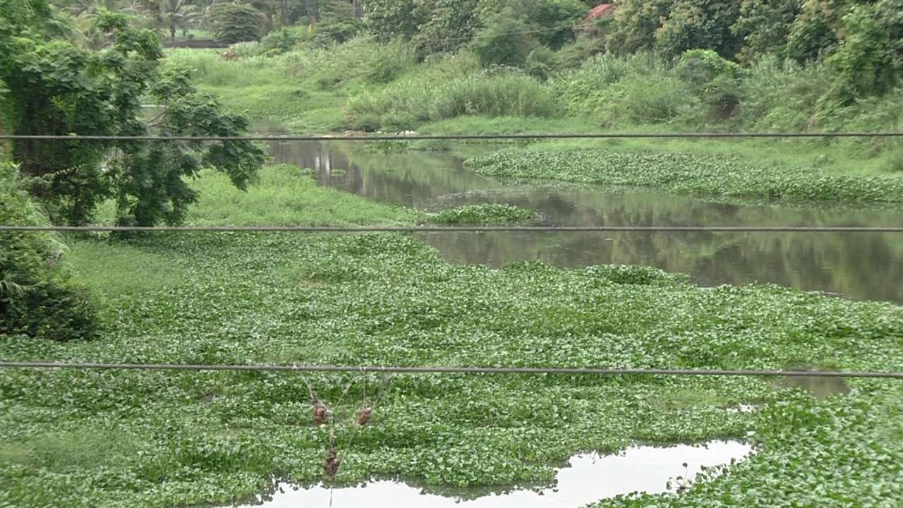 ರಾಮನಗರ: ಕಲುಷಿತಗೊಂಡ ಅರ್ಕಾವತಿ ನದಿ ಪುನಶ್ಚೇತನಕ್ಕೆ ಸಾರ್ವಜನಿಕರ ಆಗ್ರಹ ರಾಮನಗರ: ಕಲುಷಿತಗೊಂಡ ಅರ್ಕಾವತಿ ನದಿ ಪುನಶ್ಚೇತನಕ್ಕೆ ಸಾರ್ವಜನಿಕರ ಆಗ್ರಹ