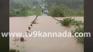 Video: ಆಗ್ರಾ-ಲಕ್ನೋ ಎಕ್ಸ್​​ಪ್ರೆಸ್​ವೇನಿಂದ ಕೆಳಗೆ ಉರುಳಿದ ಡಬಲ್ ಡೆಕ್ಕರ್ ಬಸ್, ಇಬ್ಬರು ಸಾವು