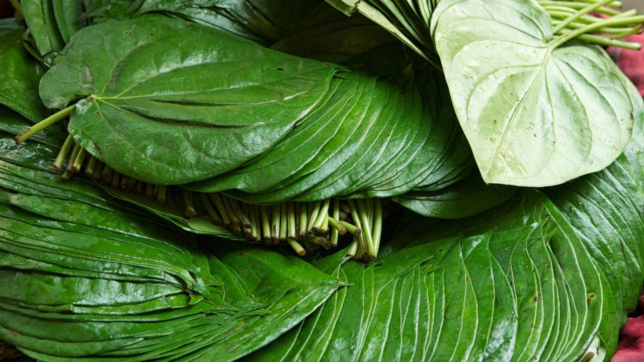 Brain Health: ಅಜ್ಜಿ ಮಾಡುವ ಈ ಮದ್ದು ಎಷ್ಟೇ ದಡ್ಡನನ್ನು ಬುದ್ದಿವಂತನಾಗಿಸುತ್ತದೆ