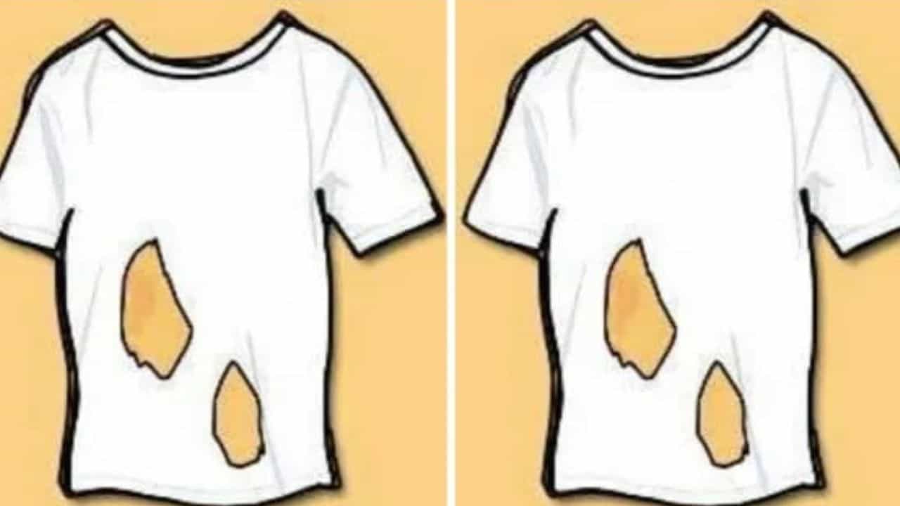 Brain Teaser : ಈ ಶರ್ಟ್ನಲ್ಲಿ ಎಷ್ಟು ತೂತುಗಳಿವೆ ಎಂದು ಹೇಳಿದ್ರೆ ನೀವು ಬುದ್ಧಿವಂತರು Brain Teaser : ಈ ಶರ್ಟ್ನಲ್ಲಿ ಎಷ್ಟು ತೂತುಗಳಿವೆ ಎಂದು ಹೇಳಿದ್ರೆ ನೀವು ಬುದ್ಧಿವಂತರು