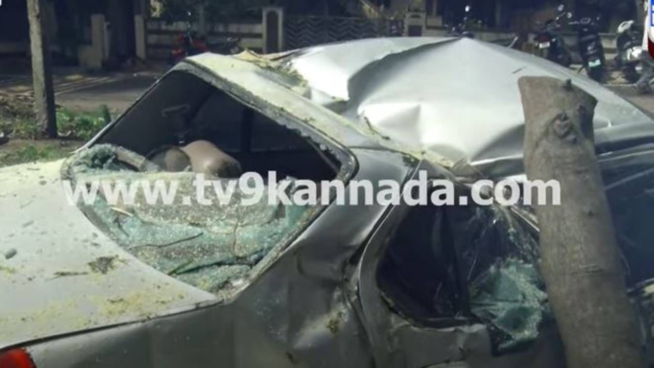 ಬೆಳಗಾವಿ: ಕಾರ್​ ಮೇಲೆ ಉರುಳಿ ಬಿದ್ದ ಭಾರೀ ಗಾತ್ರದ ಮರ, ದೂಷಣೆ ಧಾರಾಕಾರವಾಗಿ ಸುರಿದ ಮಳೆಗೆ