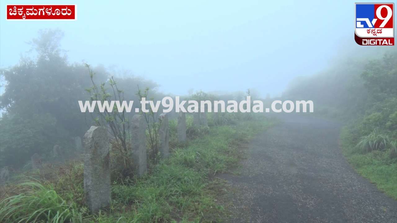 ಚಾರ್ಮಾಡಿ ಬೆಟ್ಟದ ಹಸಿರು ರಾಶಿಯ ಮೇಲೆ ಮಂಜಿನ ಚಿತ್ತಾರ: ಪ್ರವಾಸಕ್ಕೆ ಸೂಕ್ತ ಸಮಯ