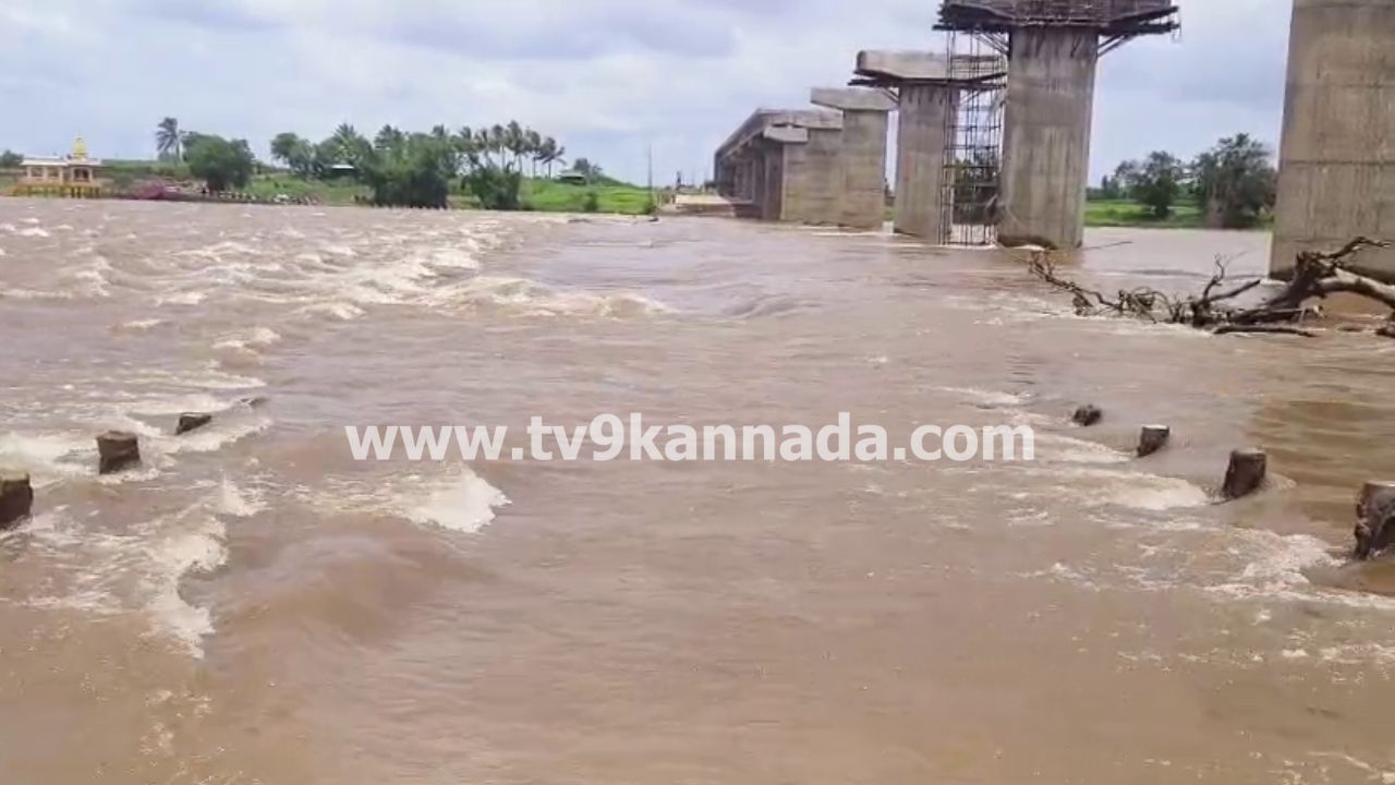 ಬೆಳಗಾವಿ: ಕೃಷ್ಣಾ ನದಿ ಪ್ರವಾಹಕ್ಕೆ ಚಿಕ್ಕೋಡಿ ಸುತ್ತಮುತ್ತ 7 ಸೇತುವೆಗಳು ಜಲಾವೃತ