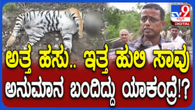 5 ಹುಲಿಗಳ ಸಾವಿನ ಸುತ್ತ ಹಸು: ಸ್ಫೋಟಕ ಅಂಶ ಬಿಚ್ಚಿಟ್ಟ ಡಿಸಿಎಫ್ 5 ಹುಲಿಗಳ ಸಾವಿನ ಸುತ್ತ ಹಸು: ಸ್ಫೋಟಕ ಅಂಶ ಬಿಚ್ಚಿಟ್ಟ ಡಿಸಿಎಫ್