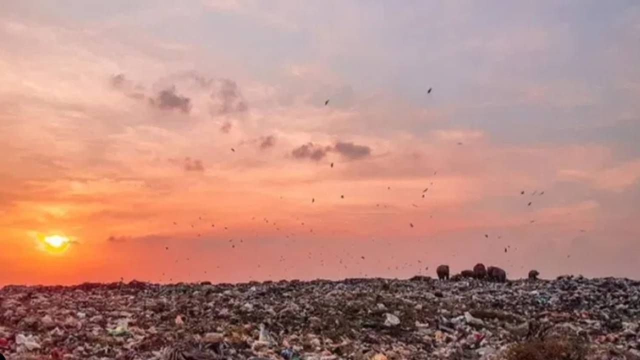 ಭಾರತದ ಹಸಿರು ಕ್ರಾಂತಿ; ಹವಾಮಾನ ಬದಲಾವಣೆ ನಿಯಂತ್ರಣ, ಮರುಬಳಕೆ ಇಂಧನ ಸೃಷ್ಟಿಯಲ್ಲಿ ಭಾರತ ಸಾಧಿಸಿದೆಷ್ಟು? ಇಲ್ಲಿದೆ ವಿವರ