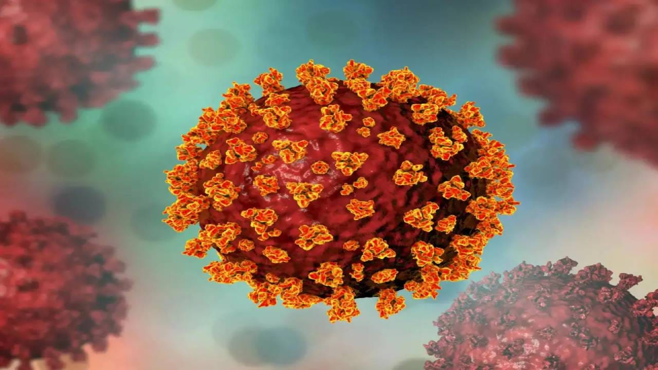 ಭಾರತದಲ್ಲಿ ಕೊರೊನಾ ಸಕ್ರಿಯ ಪ್ರಕರಣಗಳ ಸಂಖ್ಯೆ 4ಸಾವಿರಕ್ಕೆ ಏರಿಕೆ, ಗುಜರಾತ್ನಲ್ಲಿ ಹೆಚ್ಚು ಭಾರತದಲ್ಲಿ ಕೊರೊನಾ ಸಕ್ರಿಯ ಪ್ರಕರಣಗಳ ಸಂಖ್ಯೆ 4ಸಾವಿರಕ್ಕೆ ಏರಿಕೆ, ಗುಜರಾತ್ನಲ್ಲಿ ಹೆಚ್ಚು