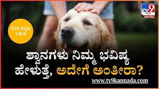 ಗ್ಯಾಸ್‌ ಸ್ಟವ್‌ ಬಳಿ ತಪ್ಪಿಯೂ ಈ ವಸ್ತುಗಳನ್ನು ಇಡಲು ಹೋಗಬೇಡಿ