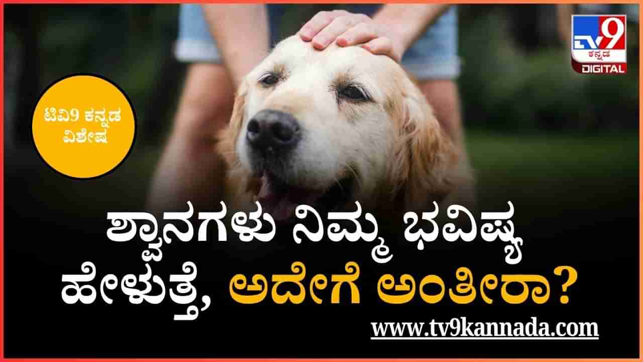 ಶ್ವಾನಗಳು ನಿಮ್ಮ ಭವಿಷ್ಯ ಹೇಳುತ್ತೆ, ಅದು ಹೇಗೆ? ಜ್ಯೋತಿಷಿ ವಿ. ಗಜಾನನ ಭಟ್ ಹೇಳೋದೇನು?