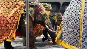 ರಥಯಾತ್ರೆಯಲ್ಲಿ ನಿಯಂತ್ರಣ ಕಳೆದುಕೊಂಡು ಅಡ್ಡಾದಿಡ್ಡಿ ಓಡಿದ ಆನೆ