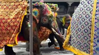 Video: ಕೊಲೆ ಪಾತಕಿಯನ್ನು ಹಿಡಿಯಲು ಪೊಲೀಸ್ ಅಧಿಕಾರಿ ಮಾಡಿದ ಸಾಹಸ ನೋಡಿ