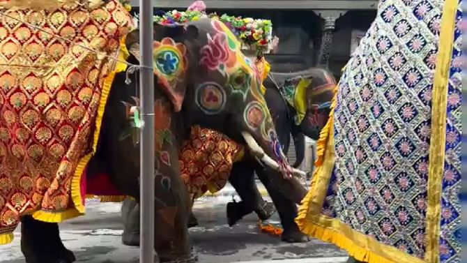 ರಥಯಾತ್ರೆಯಲ್ಲಿ ನಿಯಂತ್ರಣ ಕಳೆದುಕೊಂಡು ಅಡ್ಡಾದಿಡ್ಡಿ ಓಡಿದ ಆನೆ