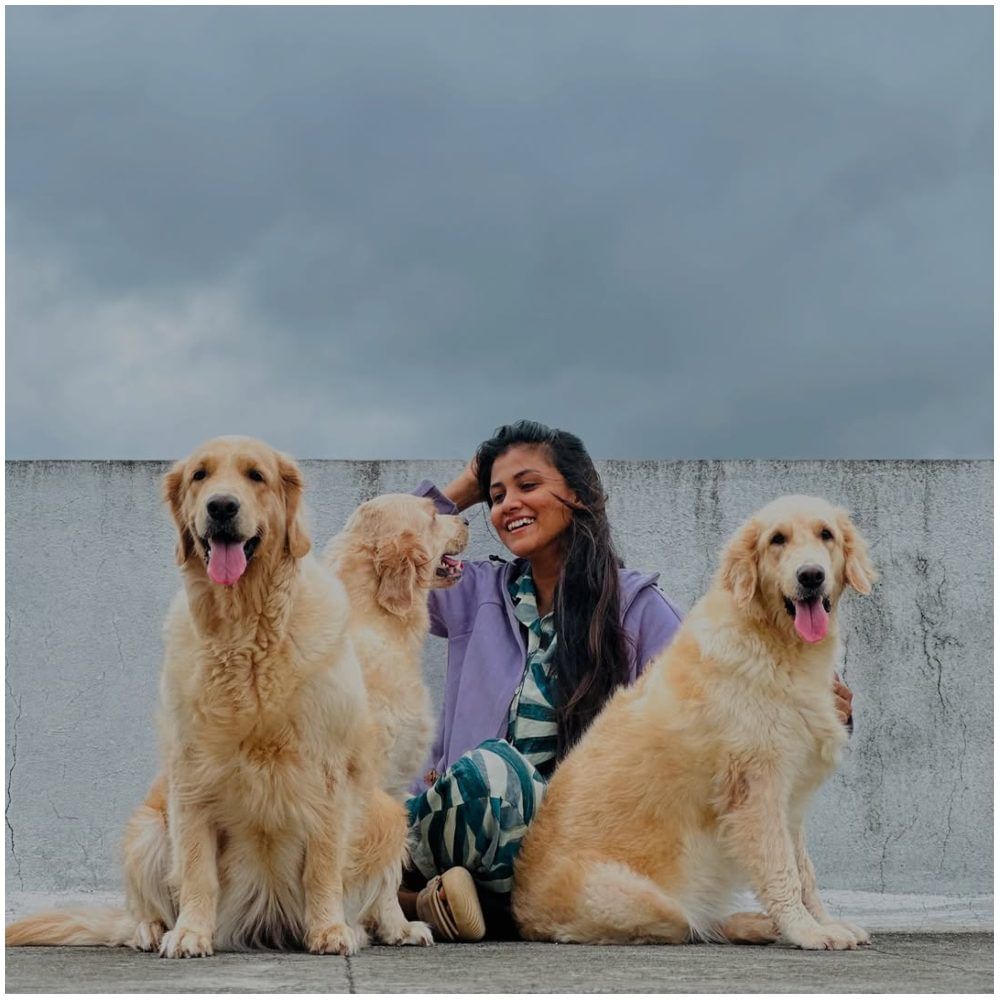 ಗೌತಮಿ ಅವರ ಕುಟುಂಬದಲ್ಲಿ ನಗು ಹೆಚ್ಚುತ್ತಿದೆ ಎಂದರೆ ಅದಕ್ಕೆ ಕಾರಣ ಹ್ಯಾಪಿ, ಕಾಫಿ ಮತ್ತು ಕ್ವೀನ್ ಕಾರಣ. ಅವುಗಳ ಜೊತೆ ಆಗಾ ಫೋಟೋ ಕ್ಲಿಕ್ಕಿಸಿಕೊಂಡು ನಟಿ ಹಂಚಿಕೊಳ್ಳುತ್ತಾ ಇರುತ್ತಾರೆ. ಇದಕ್ಕೆ ಫ್ಯಾನ್ಸ್ ಕಡೆಯಿಂದ ಭರ್ಜರಿ ಲೈಕ್ಸ್ ಸಿಗುತ್ತದೆ.
