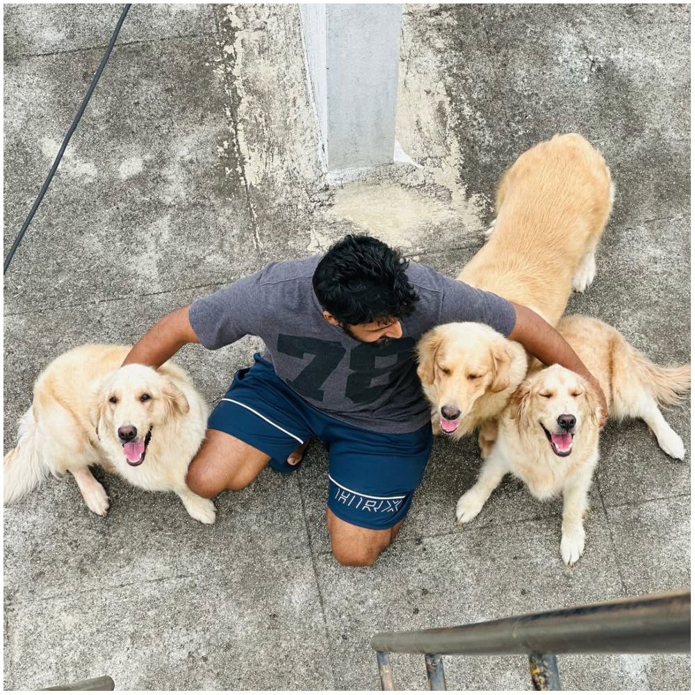 ಗೌತಮಿ ಜಾಧವ್ ಅವರು ಮೂರು ಗೋಲ್ಡನ್ ರಿಟ್ರೈವರ್ ಶ್ವಾನಗಳನ್ನು ಸಾಕಿದ್ದಾರೆ. ಈ ಶ್ವಾನಕ್ಕೆ ಅವರು ಹ್ಯಾಪಿ, ಕಾಫಿ ಹಾಗೂ ಕ್ವೀನ್ ಎಂದು ಹೆಸರು ಇಟ್ಟಿದ್ದಾರೆ. ಇವುಗಳ ಜೊತೆ ಗೌತಮಿ ಹಾಗೂ ಅವರ ಪತಿ ಅಭಿಷೇಕ್ ಫೋಟೋಶೂಟ್ ಮಾಡಿಸಿದ್ದಾರೆ.